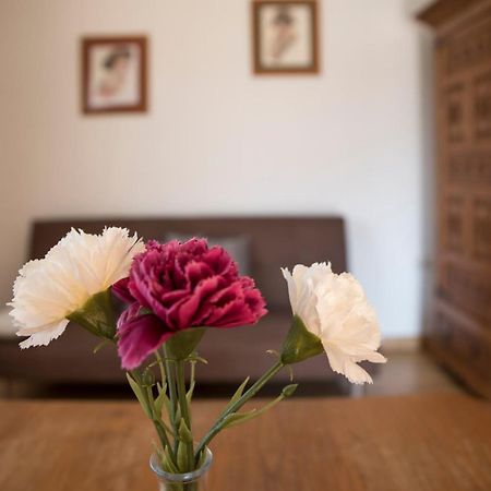 Apartamentos Alegria سانتيانا ذيل مار المظهر الخارجي الصورة